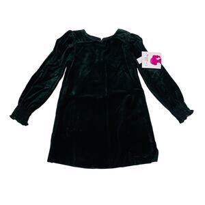 NWT Gabby Size 4 Black Velvet Dress